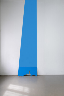 Leonie Licht